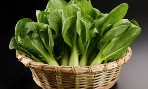 油菜的营养成分