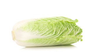 大白菜的营养成分