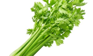 芹菜的营养成分