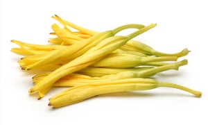 黄花菜的营养成分