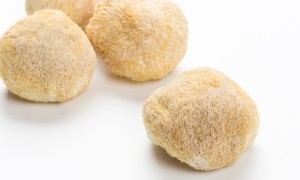 猴头菇的营养成分