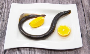 鳗鱼的营养成分