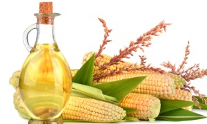 玉米有的营养成分